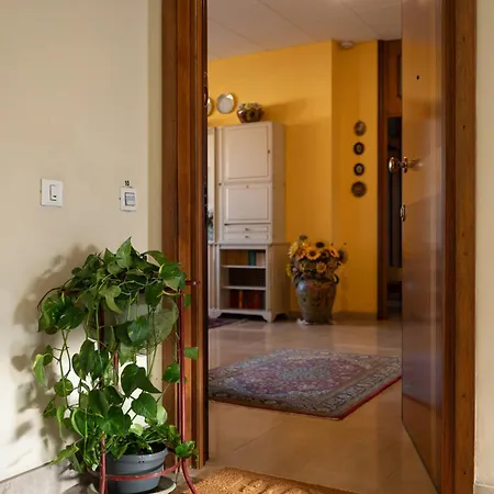 דירה Sunflower House
